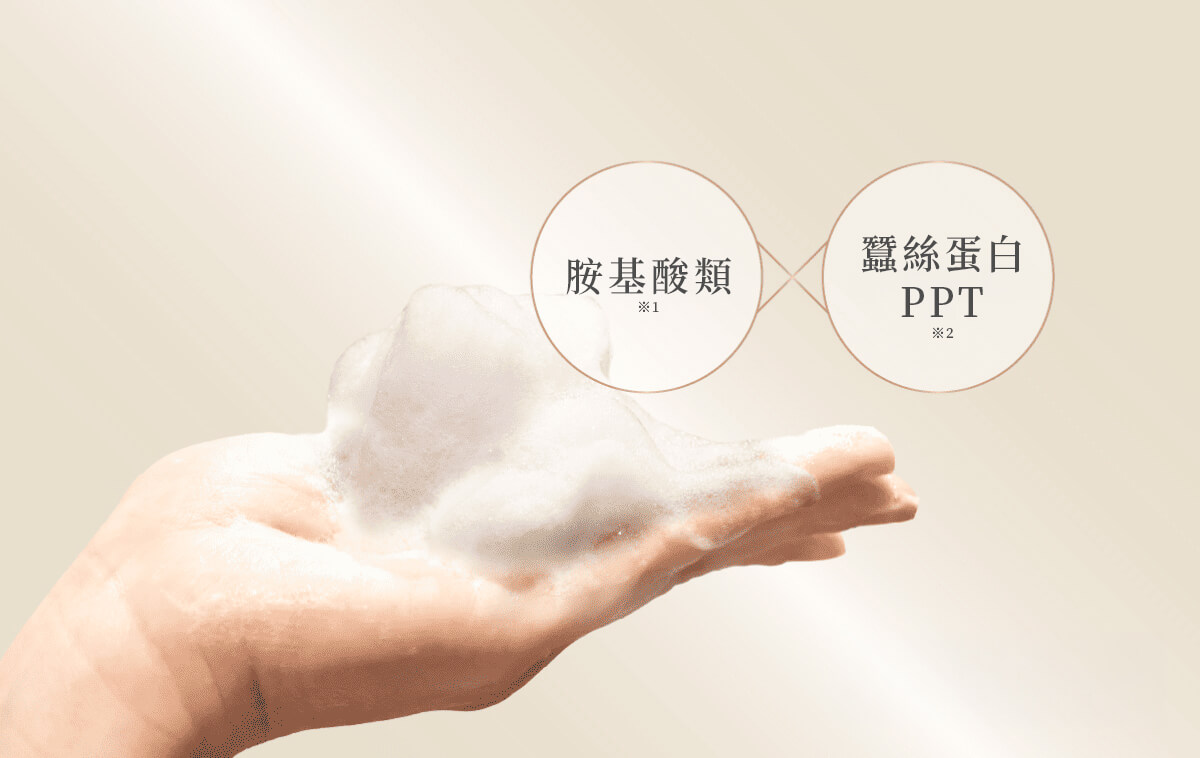 最高濃度的熱護理成分示意